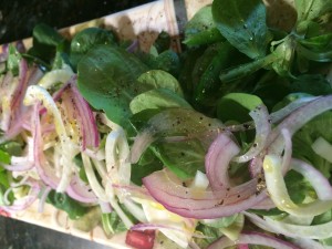 Mache, Shaved Fennel and Red Onion, Orange Champagne Vinaigrette 