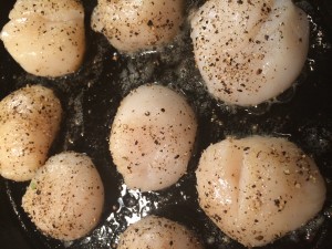 Searing Scallops