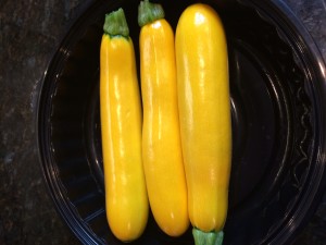 Summer Squash